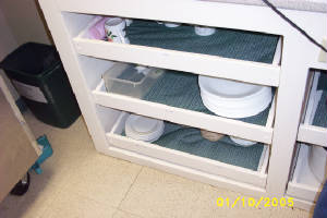 jan.05.lions_0062.jpg